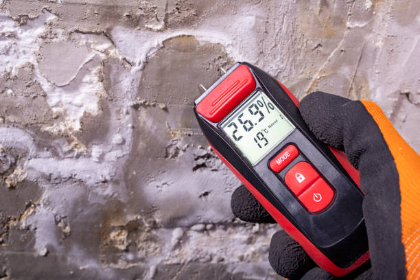 Best Mold Testing  in Rome City, IN