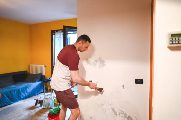 Best Home Mold Removal  in Rome City, IN